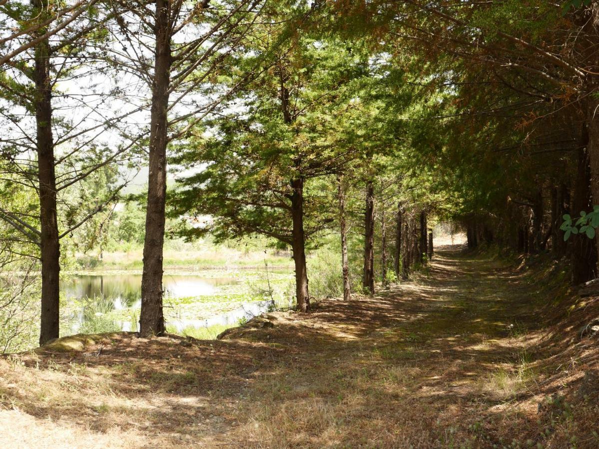 Vila Quinta Nas Colinas São Vicente da Beira Exteriér fotografie